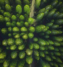 que es tokenizar un activo green finance
